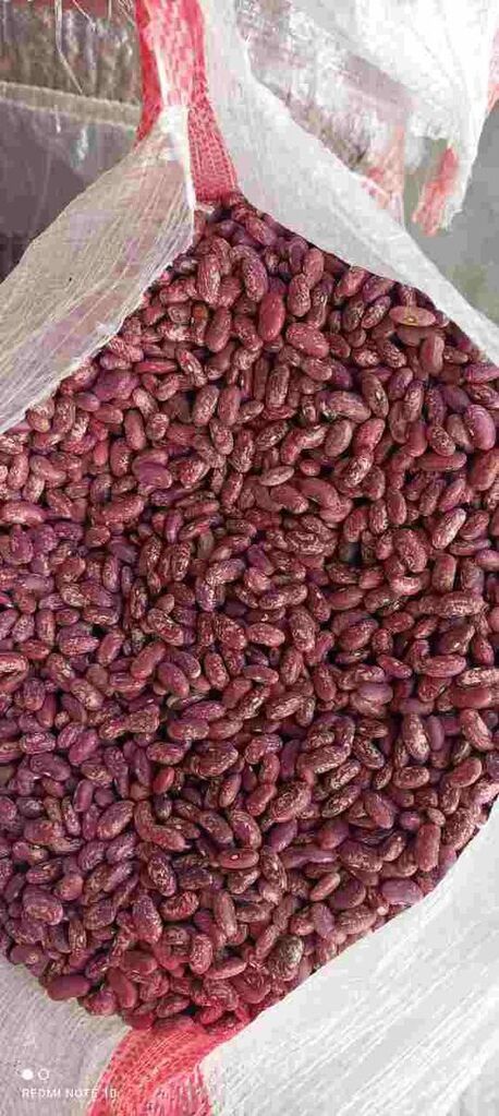 Red beans (legumes)