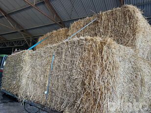 96 штук солом'яних тюків 2025