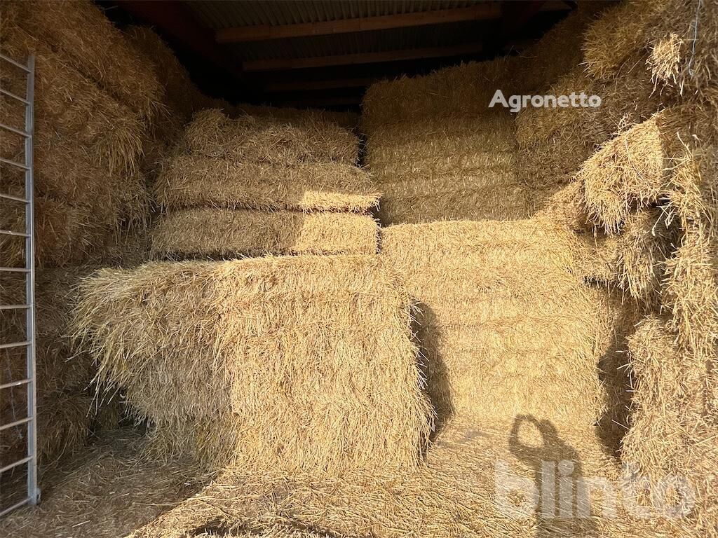 56 pièces - Agronetto