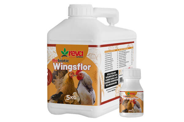 Rebiotic Wingsflor