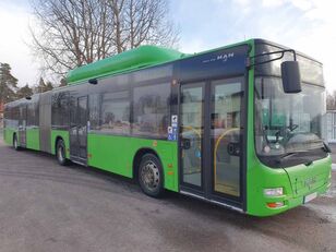 MAN LION'S CITY G A23 CNG Gelenkbus