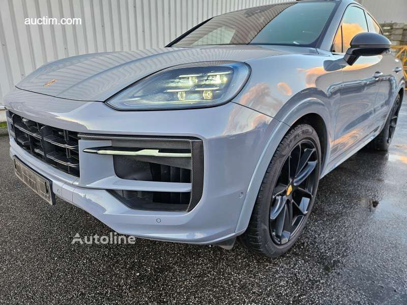 Porsche Cayenne E-hybrid terenac