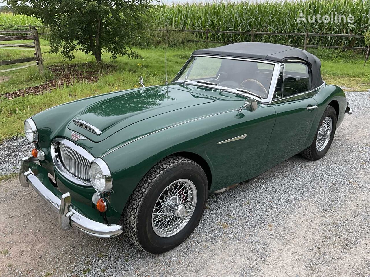 кабриолет Austin-Healey Healy