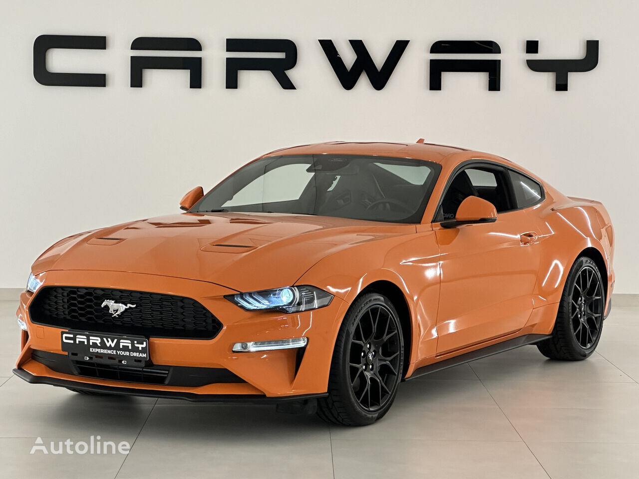 coupe Ford Mustang 2.3 Premium Recaro Seats