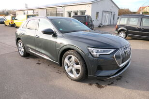 Audi e-tron 50 QUATRO ADVANCED Assistenz-Paket Stadt / Tour COC crossover