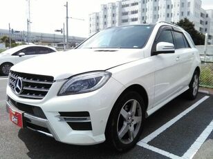 krosoveris Mercedes-Benz M-CLASS