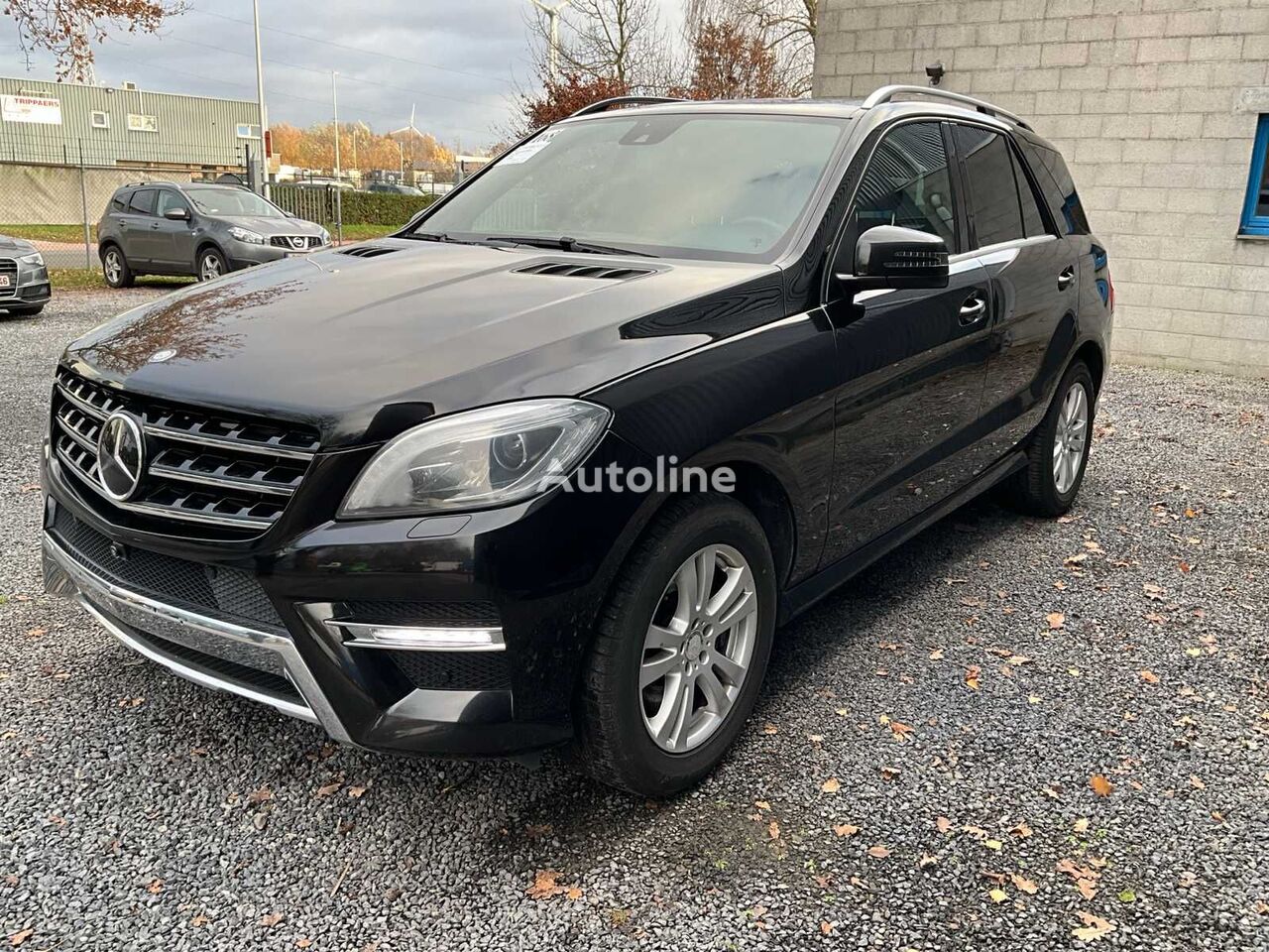 Mercedes-Benz ML350 BLUETEC V6 4x4 krosovers