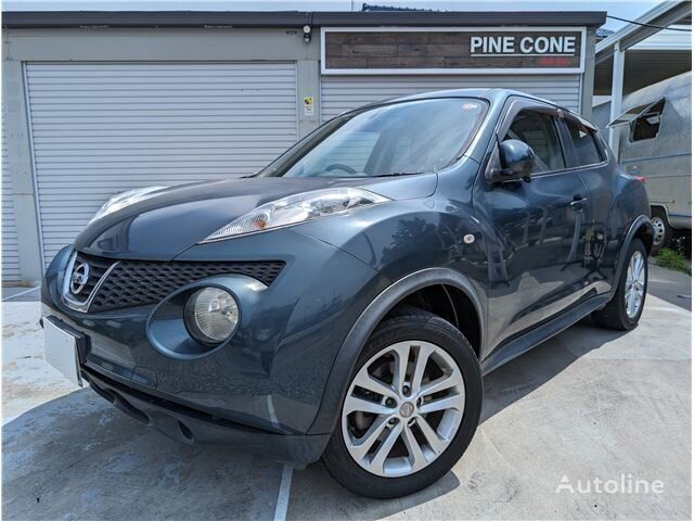 krosoveris Nissan JUKE