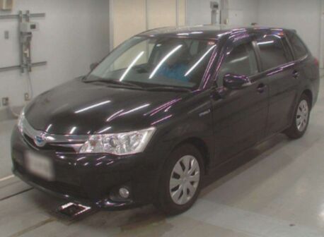 universalas Toyota COROLLA FIELDER