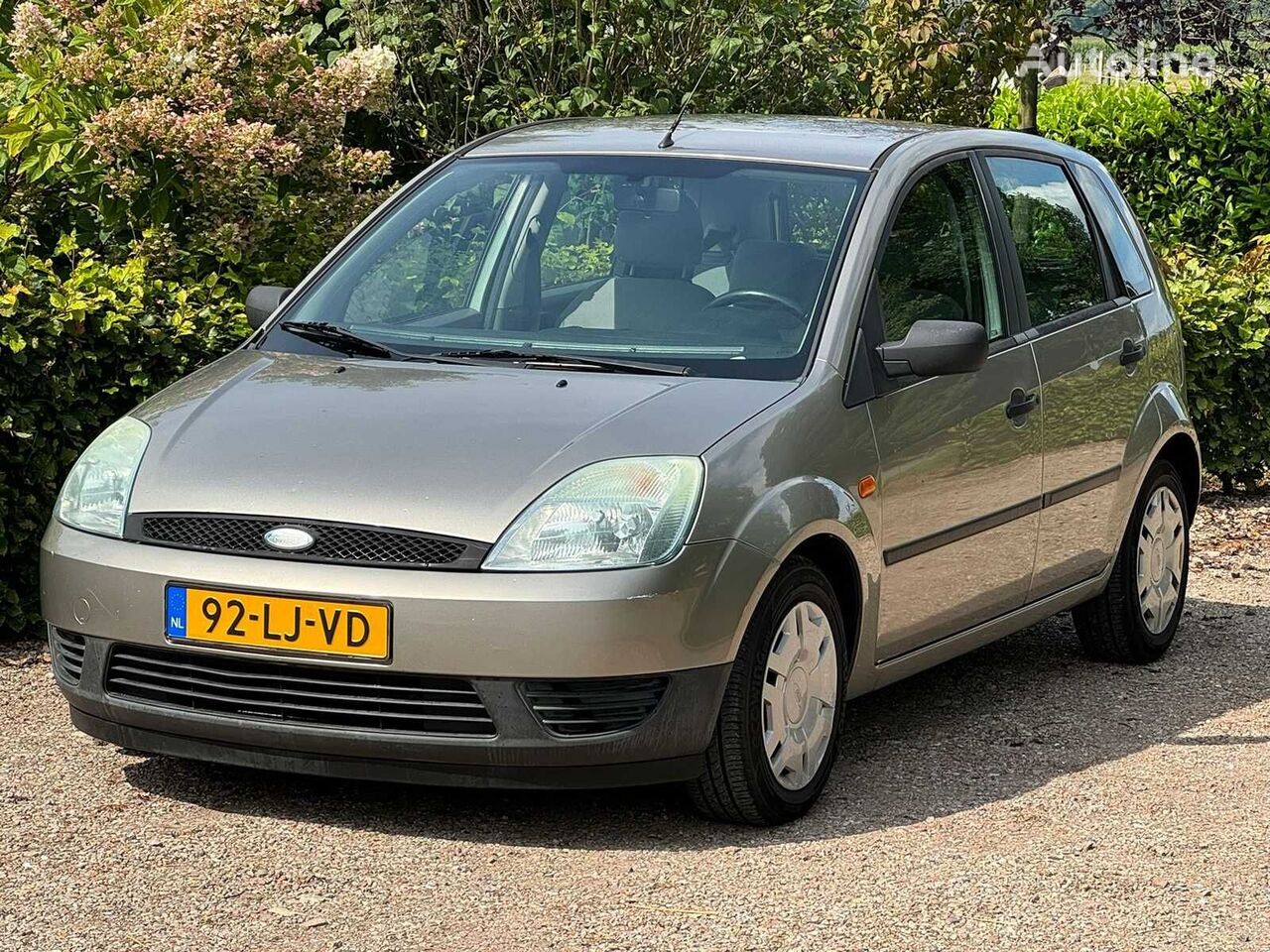 hatchback Ford Fiesta