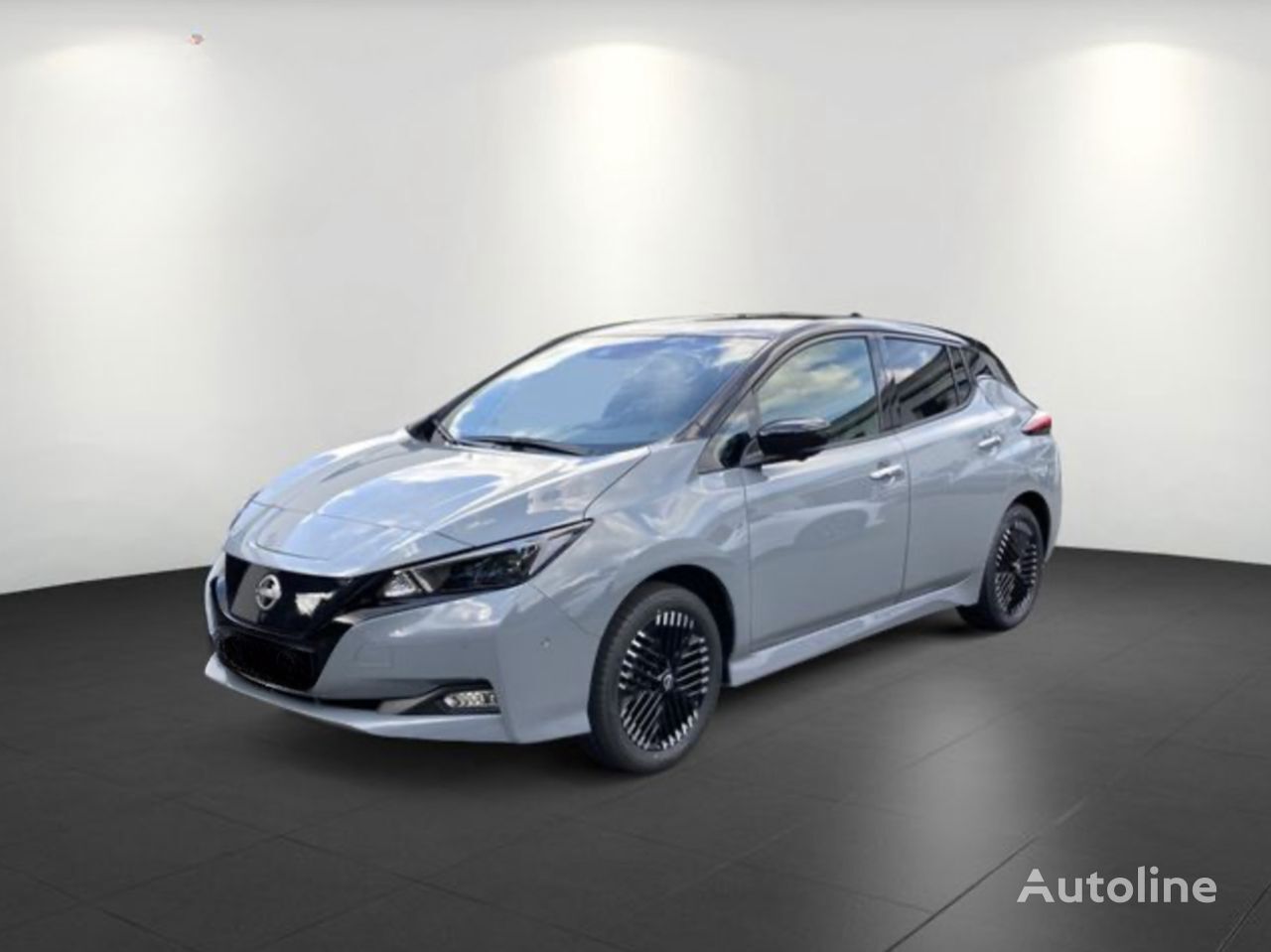 hatchback Nissan LEAF novo