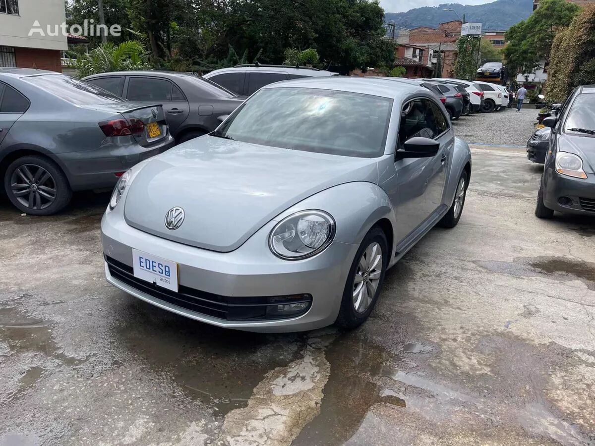 hatchback Volkswagen Beetle