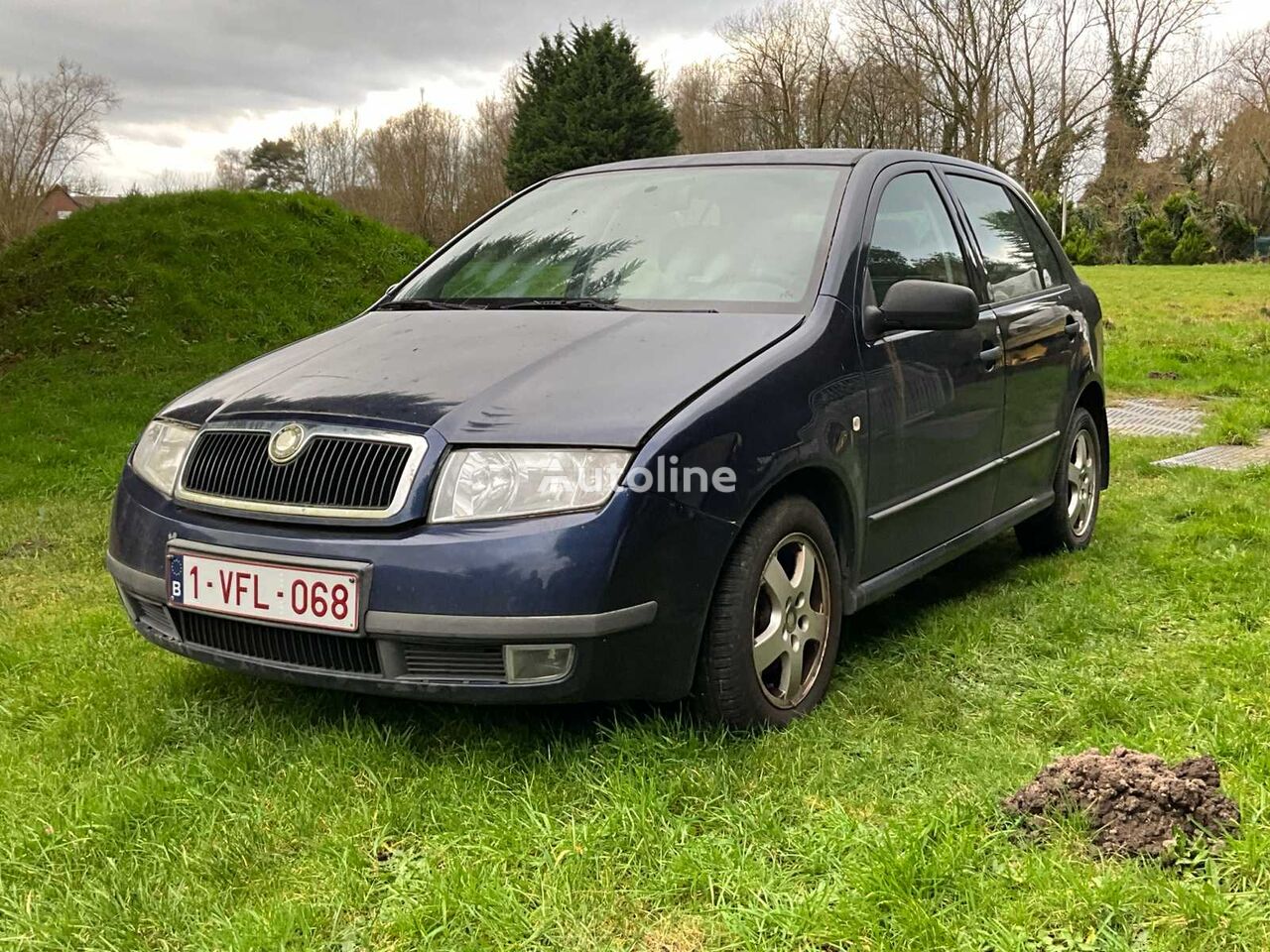 Škoda Fabia hatchback