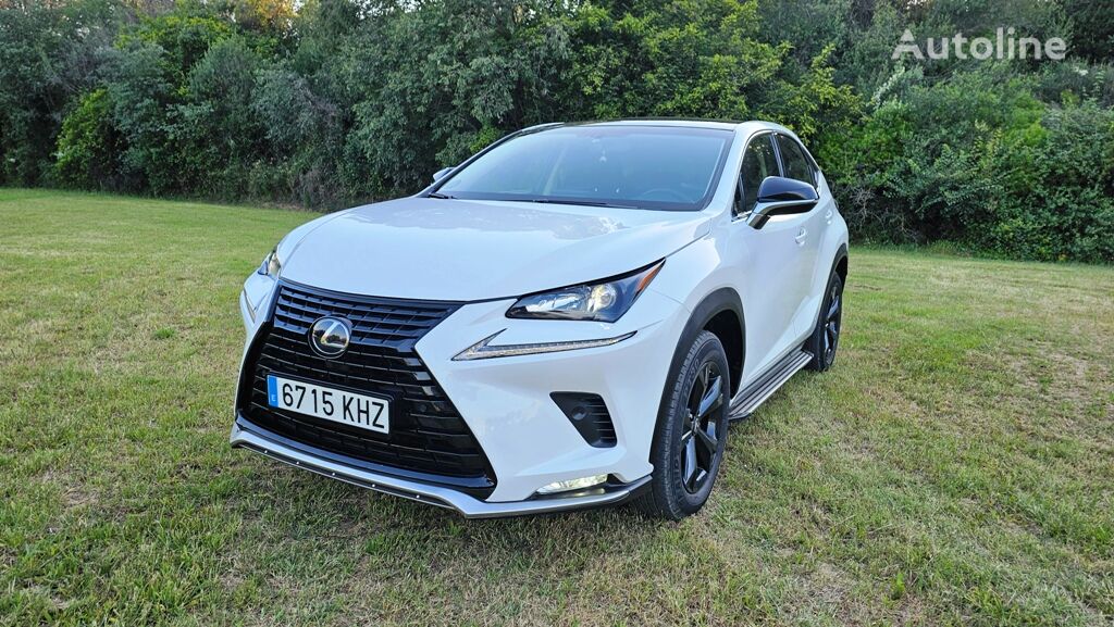 Lexus NX 300H Sport minivan