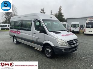 Mercedes-Benz 516 CDI Sprinter passenger van