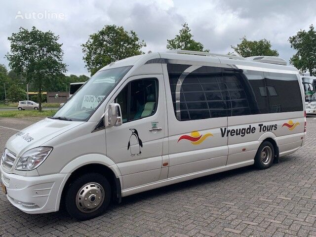 fourgonnette de tourisme Mercedes-Benz Cuby Sprinter 519 CDI