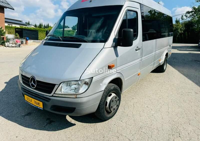 الميكروباصات لنقل الركاب Mercedes-Benz SPRINTER 413