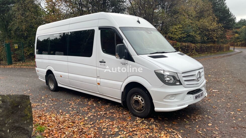 Mercedes-Benz SPRINTER 513  putnički minibus