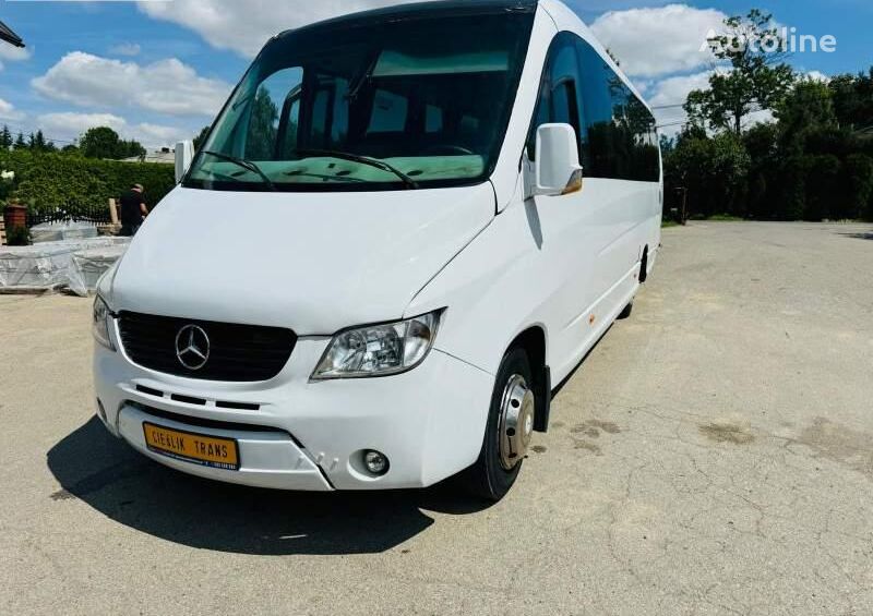 Mercedes-Benz SUNRIDER passenger van