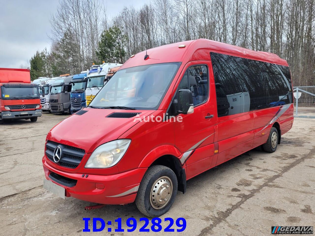 الميكروباصات لنقل الركاب Mercedes-Benz Sprinter 515 VIP 17place