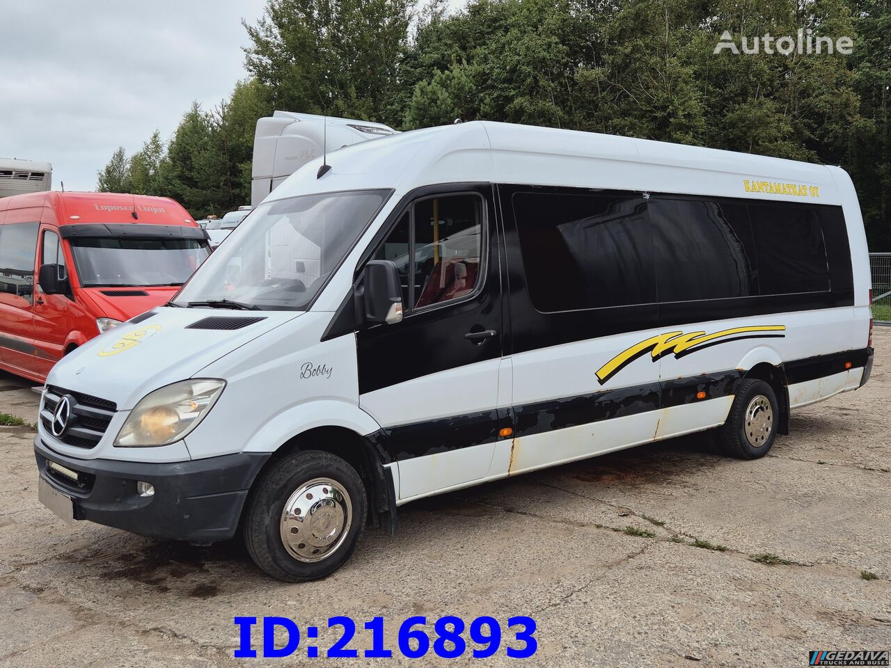 Mercedes-Benz Sprinter 516 passenger van