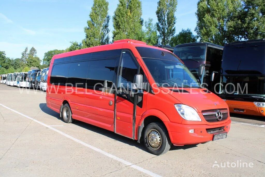 الميكروباصات لنقل الركاب Mercedes-Benz Sprinter / 516 CDI / EEV / Airco