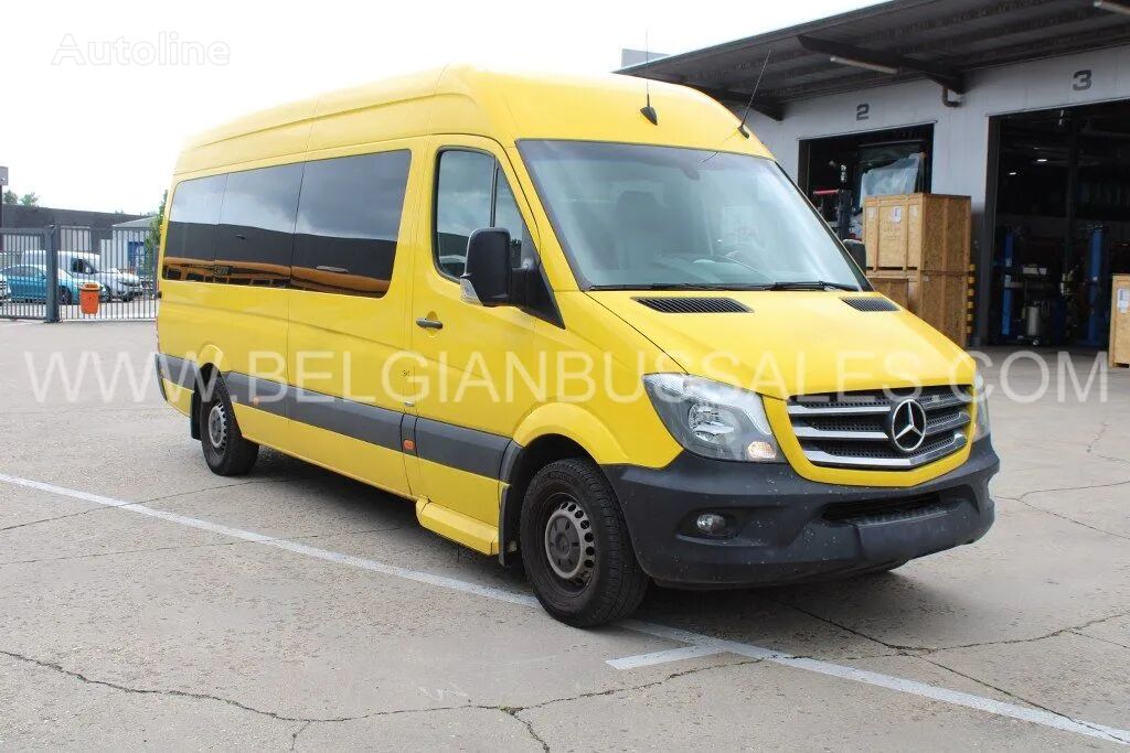 fourgonnette de tourisme Mercedes-Benz Sprinter / 516 CDI / VIP / Euro 6 / Airco