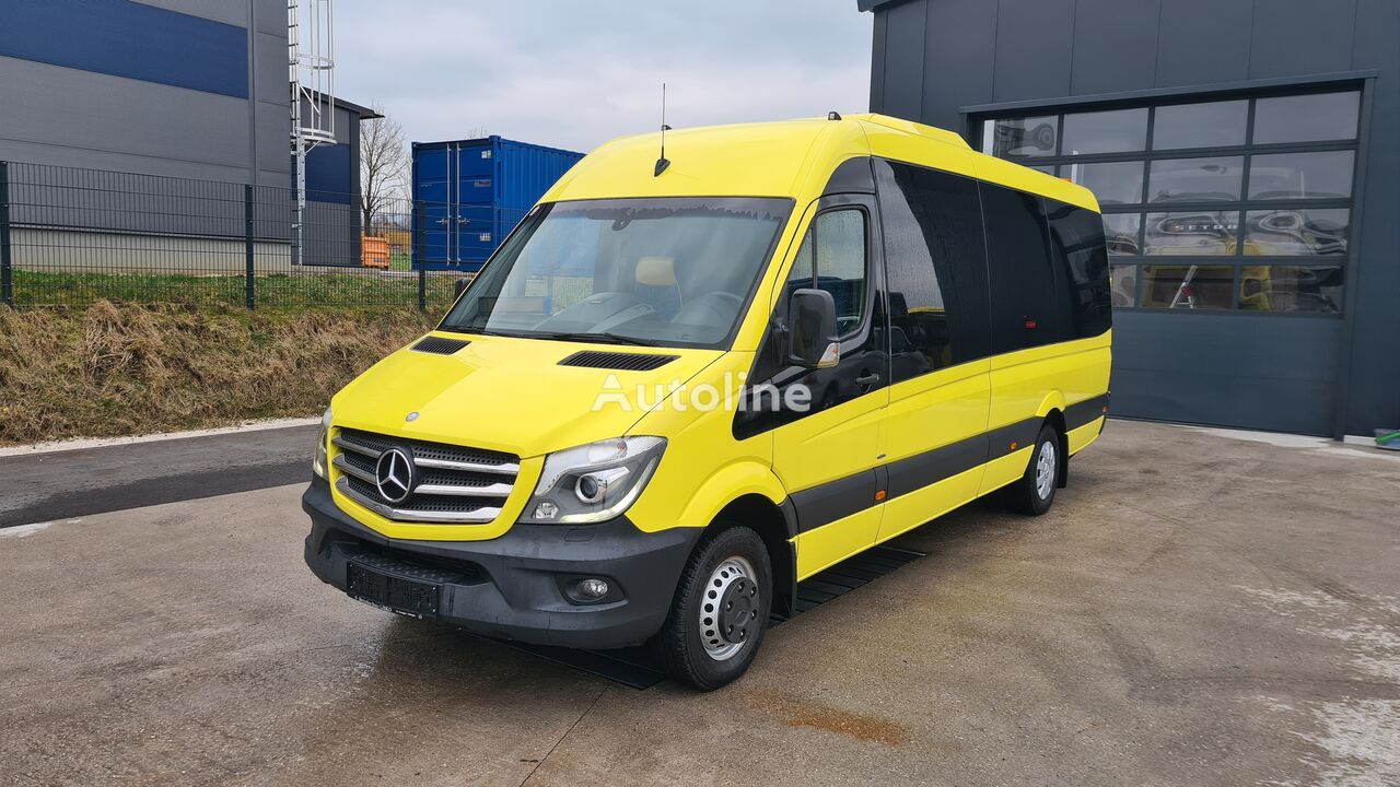 fourgonnette de tourisme Mercedes-Benz Sprinter 516 Cdi/ALTAS Tourline/21 S+R/Euro6/TOP!!!