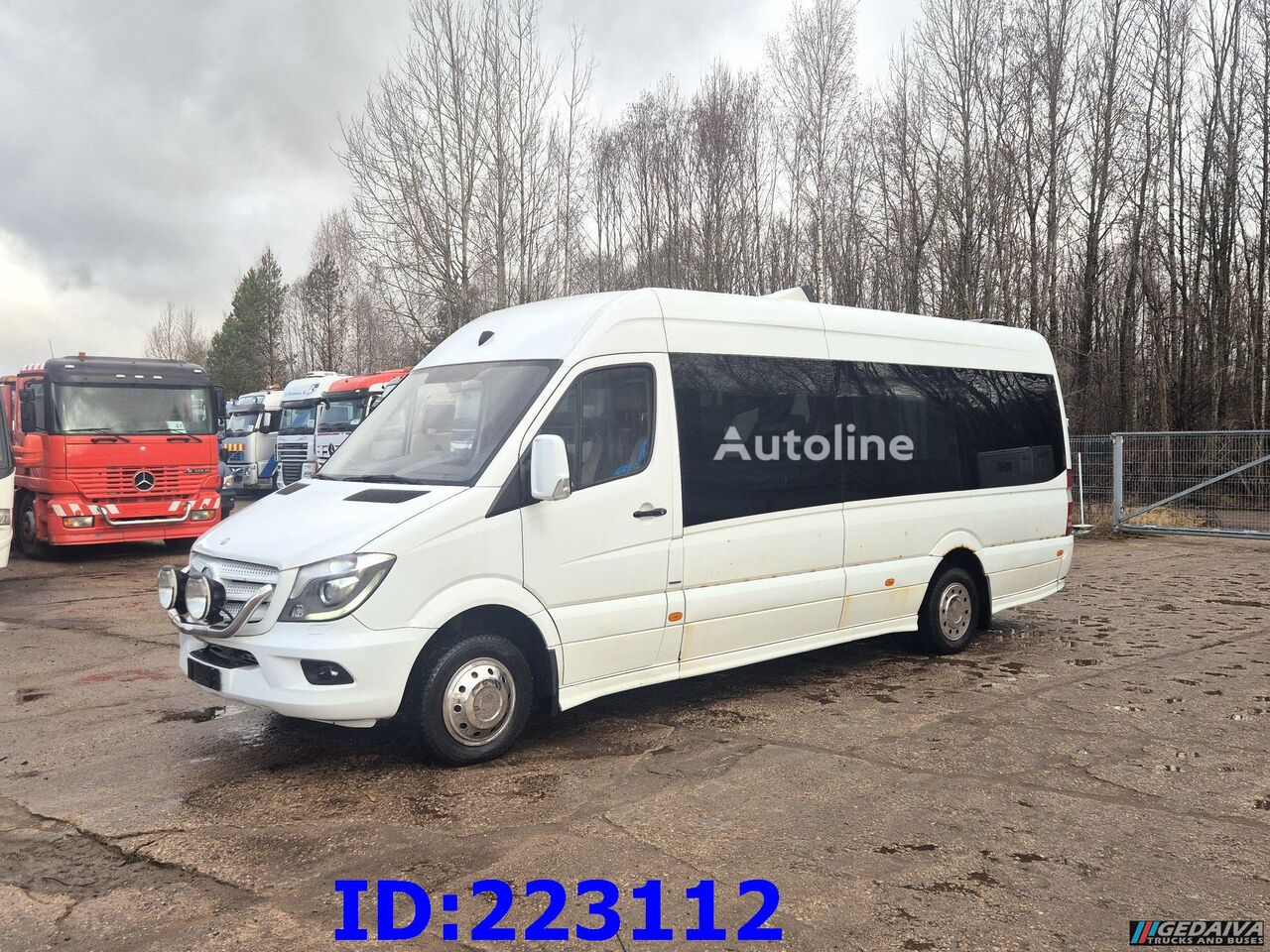 fourgonnette de tourisme Mercedes-Benz Sprinter 516 - Prostyle VIP - 18-Place