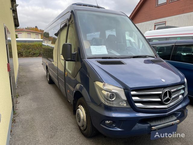 Mercedes-Benz Sprinter 516 Travel 65  passenger van