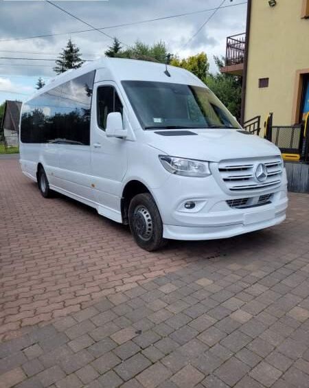 مینی بوس و ون مسافری Mercedes-Benz Sprinter 519