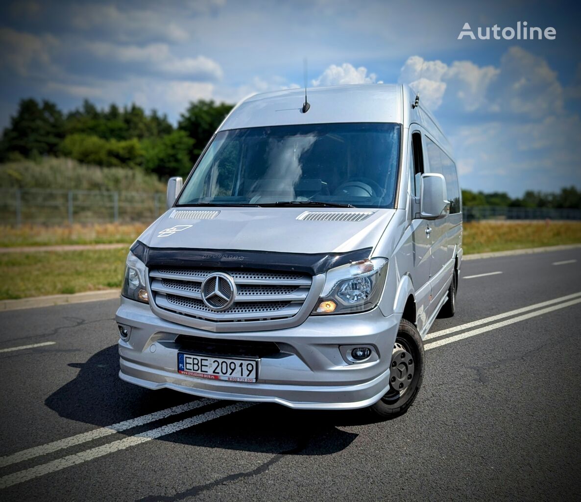 пассажирский микроавтобус Mercedes-Benz Sprinter 519