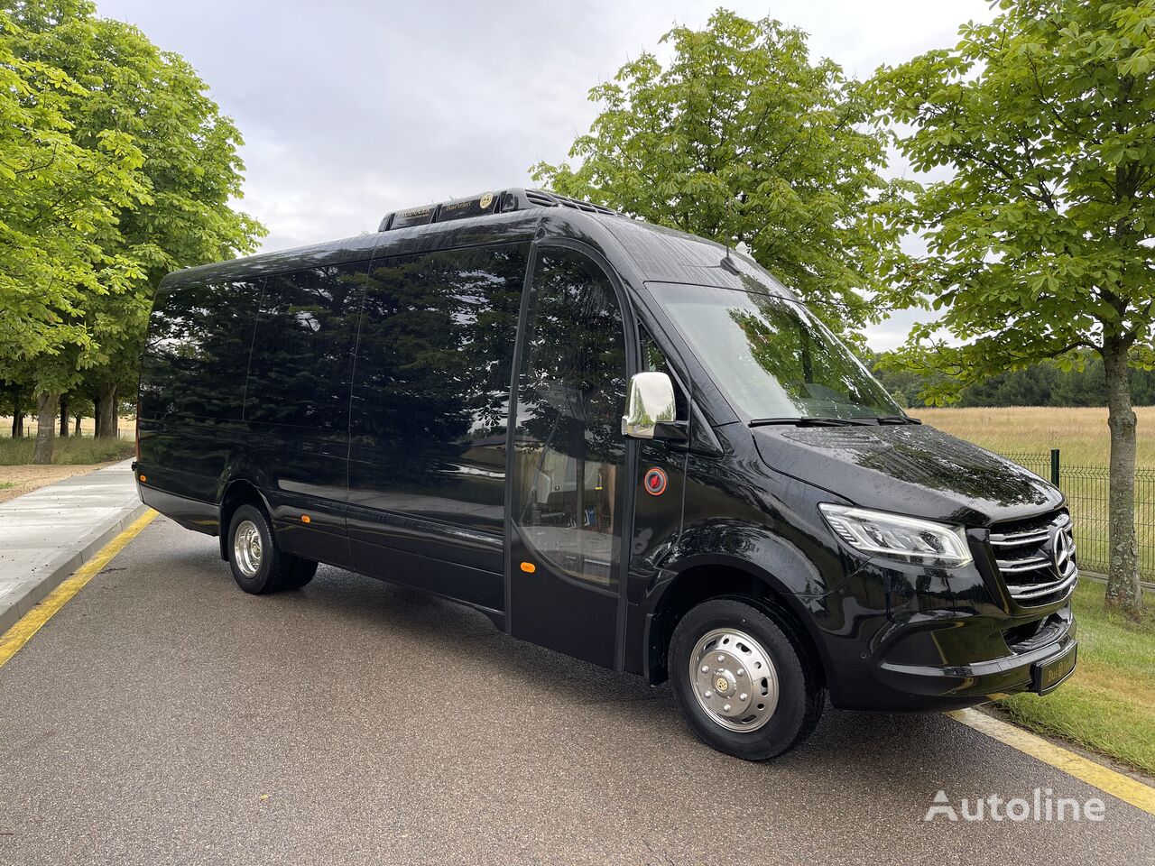 пътнически бус Mercedes-Benz Sprinter 519 BEST VIP BUS