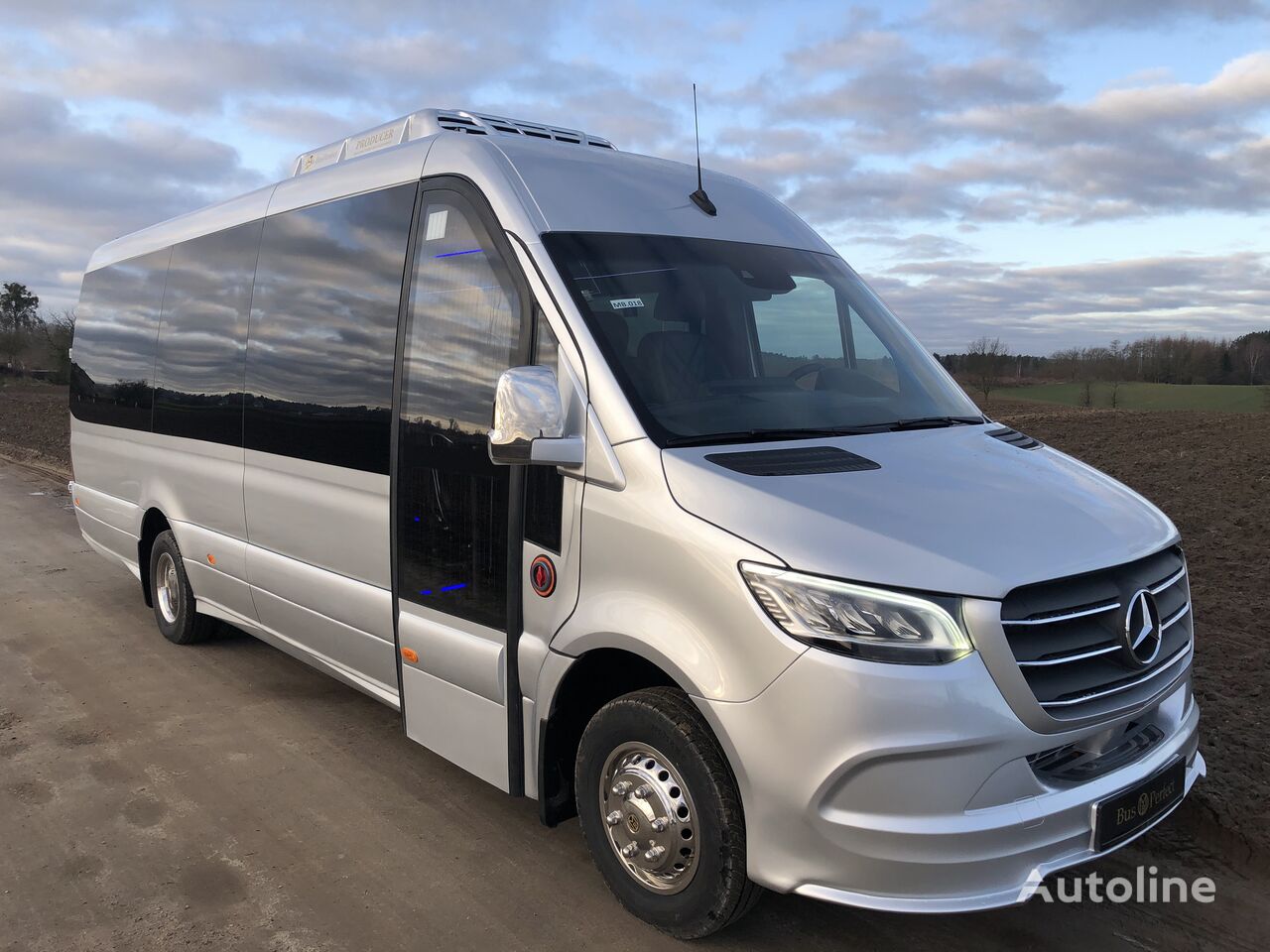 новий пасажирський мікроавтобус Mercedes-Benz Sprinter 519 CDI BEST LUXURY VIP BUS