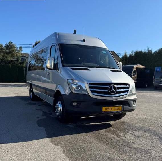 Mercedes-Benz Sprinter 519 CDI V6 passager minibus