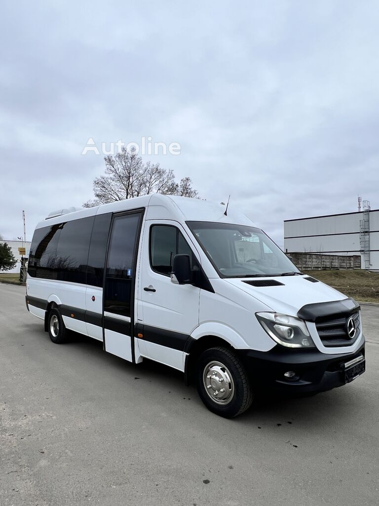 الميكروباصات لنقل الركاب Mercedes-Benz Sprinter 519 Tojo