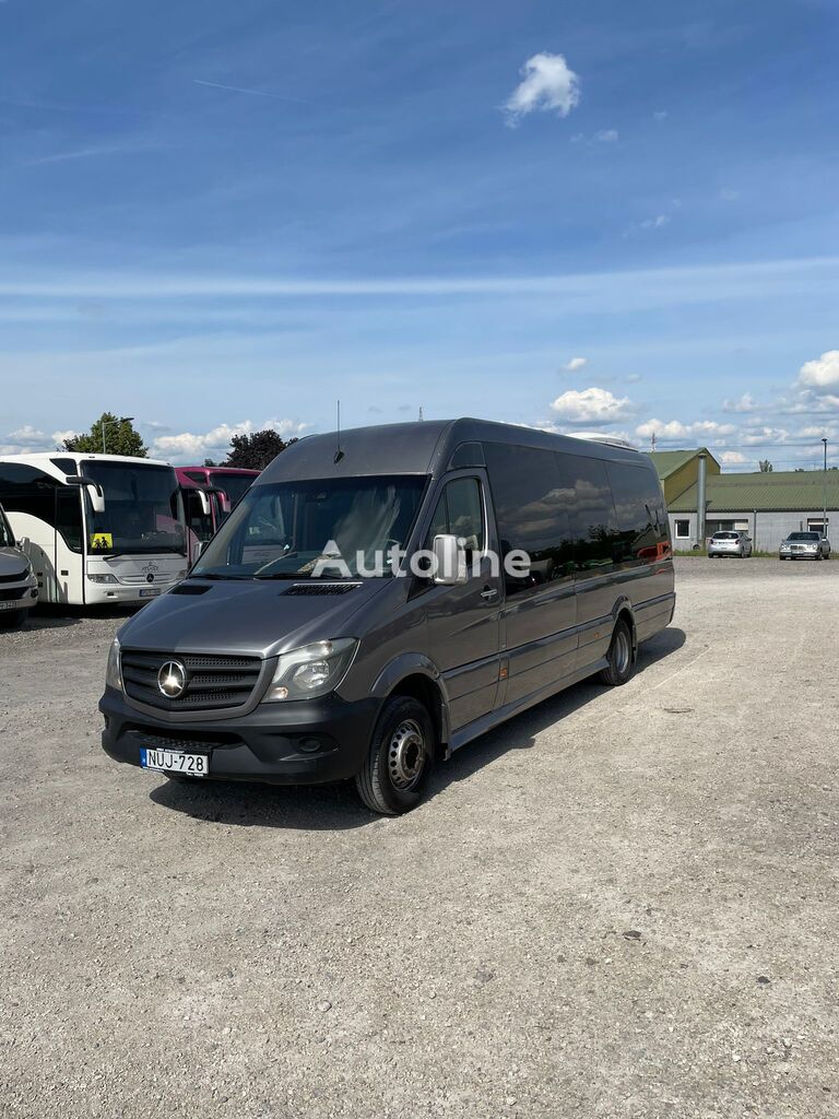 van penumpang Mercedes-Benz Sprinter 906