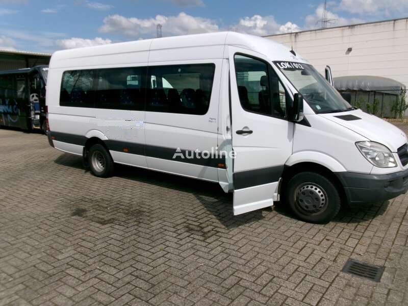 пассажирский микроавтобус Mercedes-Benz Sprinter Joost