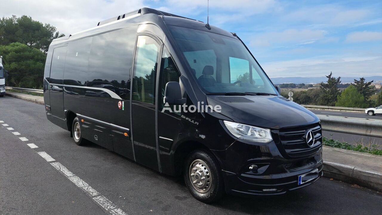 new Mercedes-Benz SprinterNEU 519CDI Chassis- Karosserie 29Sitze Car-Bus 6,8t SHAU passenger van