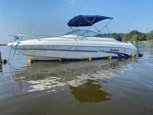 Sea Ray 190 barco