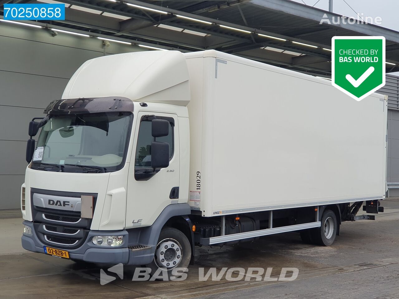 DAF LF 230 4X2 Ladebordwand ACC Junge aufbau Euro 6 camión furgón