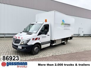 камион фургон Mercedes-Benz 513 CDI 4x2 mit LBW BÄR