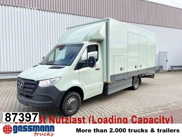 Mercedes-Benz Sprinter 516 FG 4x2, MBUX, Autotransporter box truck