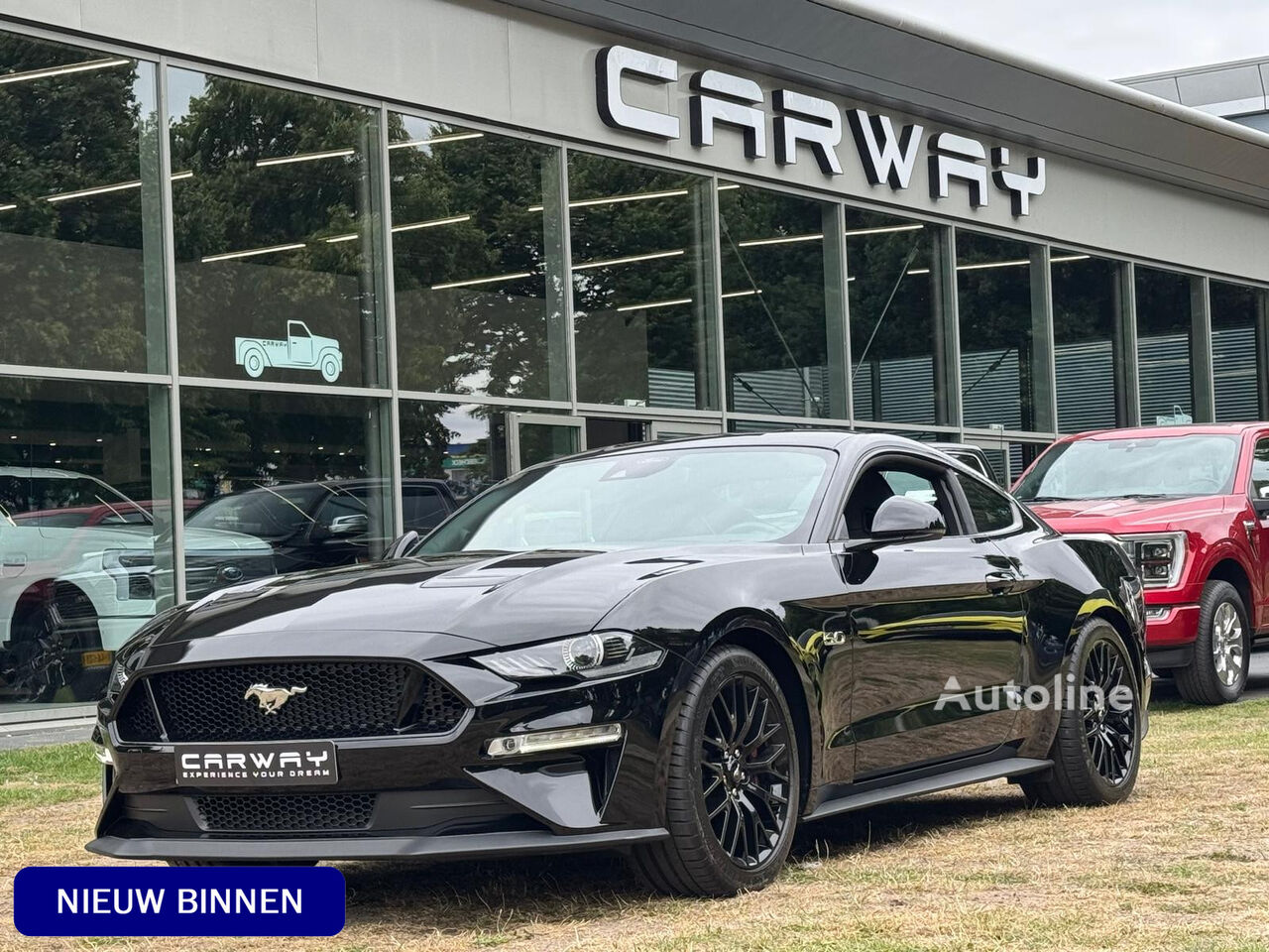 Automobile Ford USA Mustang 5.0 V8 GT Recaro, Magneride, Performance pkg EU-AUTO à vendre | Autoline TG Automobile Ford USA Mustang 5.0 V8 GT Recaro, Magneride, Performance pkg EU-AUTO - Autoline