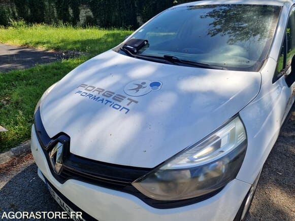 رينو Clio-48488870
