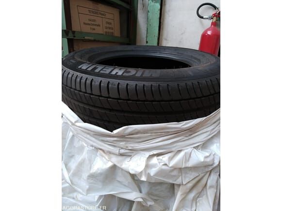 2023 Michelin-48452528