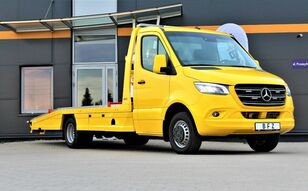 new Mercedes-Benz 519  car transporter