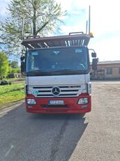 Mercedes-Benz Actros 1841 camión portacoches + remolque portacoches