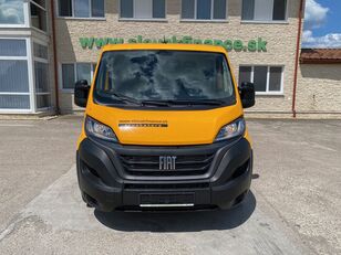 Fiat DUCATO  VIN 250 cargo van