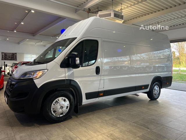 Микроавтобус фургон Opel Movano 2,2 CDTI Maxi XXL - Autoline